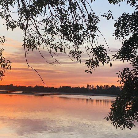 Les Roses De L'Olivier Villa Les Rosiers-sur-Loire ภายนอก รูปภาพ