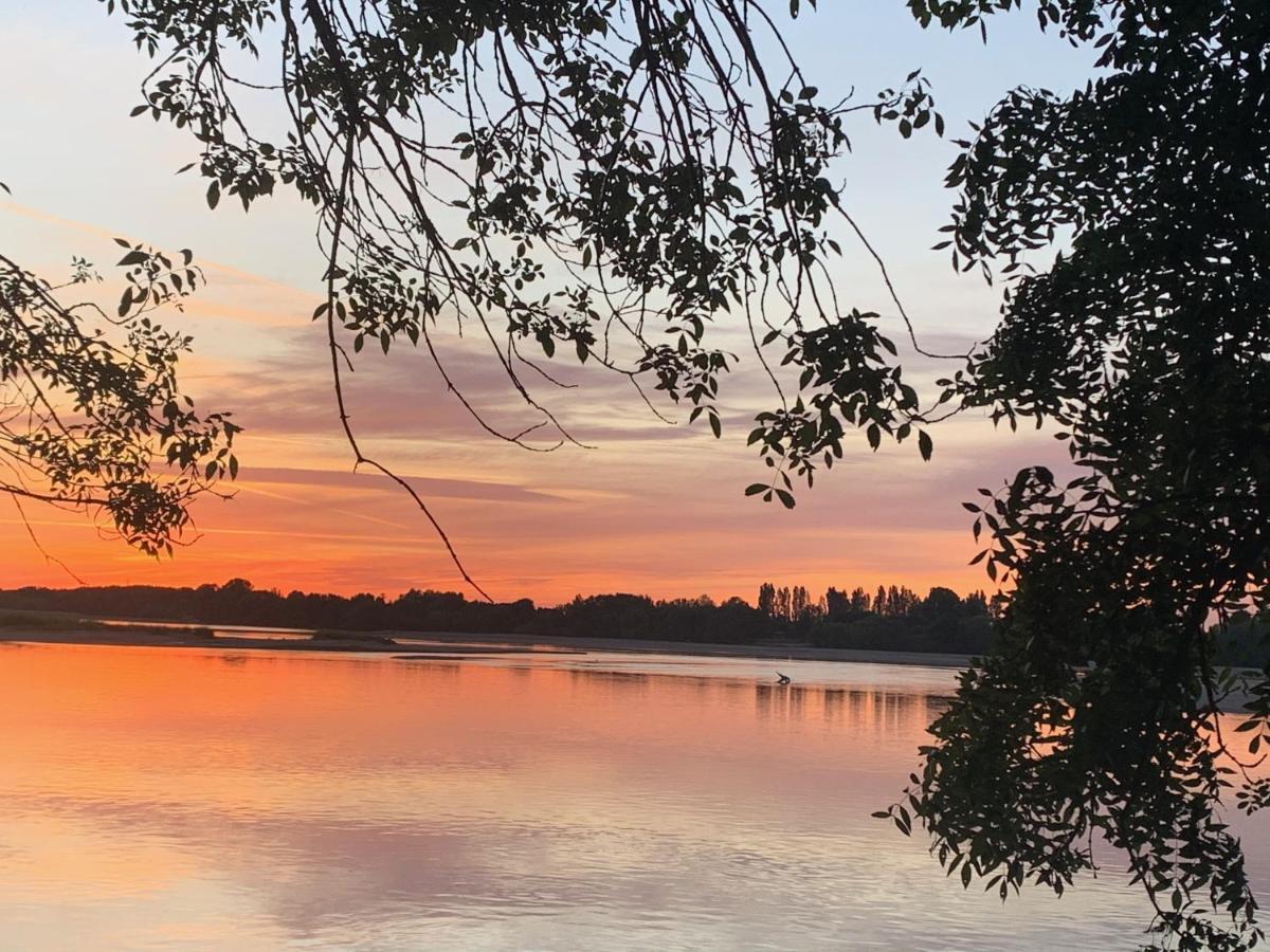 Les Roses De L'Olivier Villa Les Rosiers-sur-Loire ภายนอก รูปภาพ